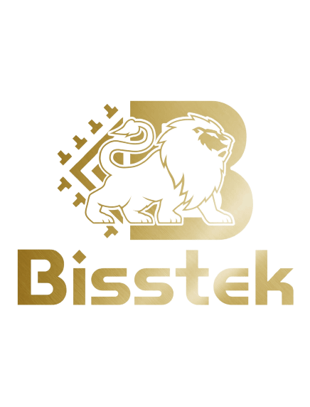 Bisstek Logo, a website design company