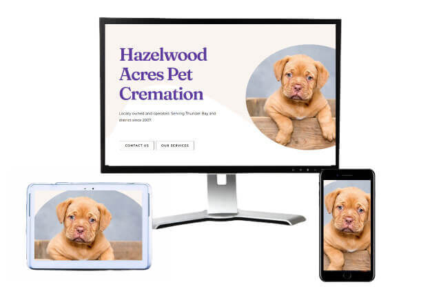 a picture of Hazelwood Acres website on the website design page