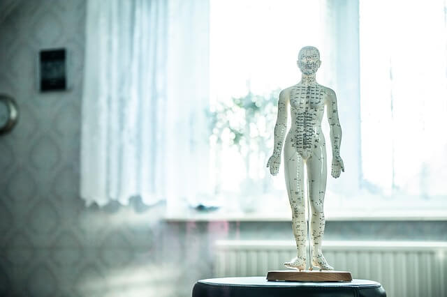 a picture of an osteopathy doll for the page physical therapy website design